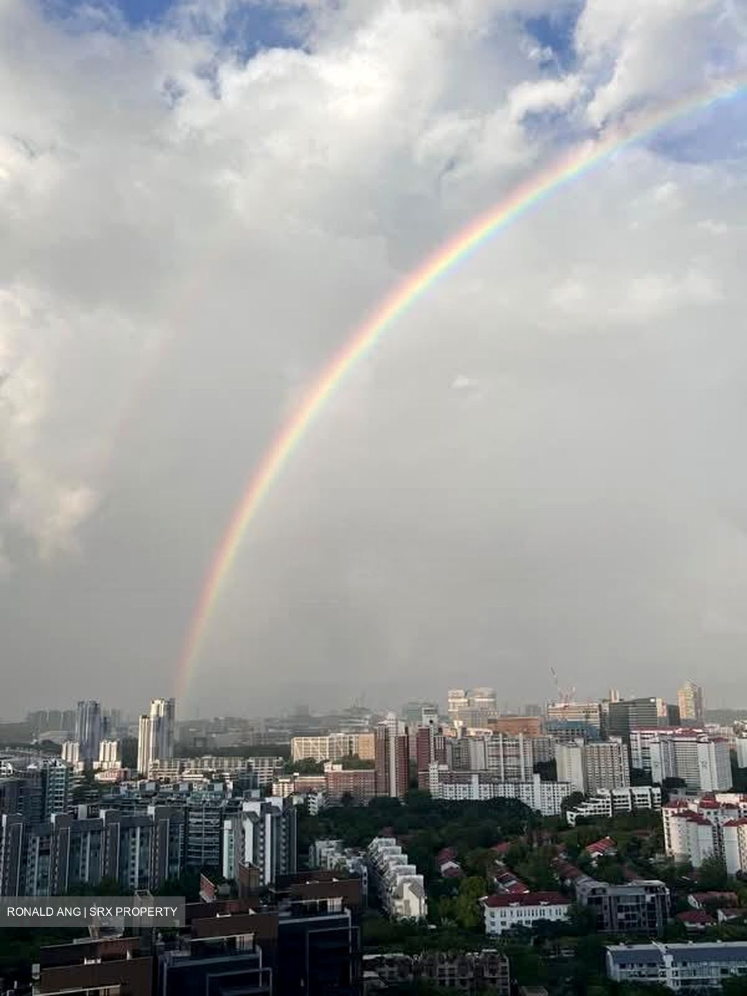 D'Leedon (D10), Condominium #533057231
